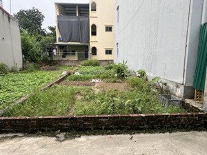 đất trục chính kinh doanh kcn quang minh - mê linh, 2 mặt tiền. shr chỉ nhỉnh 3 tỷ!