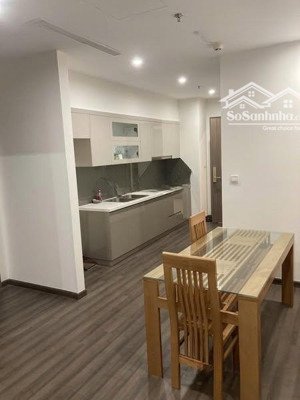 cho thuê căn hộ chung cư vinhome symphony, 54m, 2 ngủ, 1 wc, full đồ, giá thuê 12 triệu