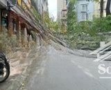 bán tòa căn hộ dịch vụ đường láng dòng tiền ổn định mặt tiền rộng pccc chuẩn