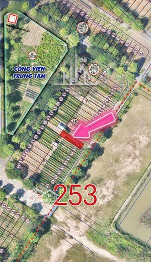 bán lô 91m2 - lk 7 tại dự án qk3, nam hải, hải an lô liền kề 7 (vị trí ghim trên hình)