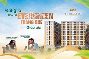 bán góc căn 2 ngủ diện tích 54,5m2 đẹp nhất dự án evegreen tràng duệ, an dương, hải phòng