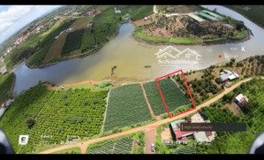 bán gấp lô đất vàng view hồ lâm đồng, giá tốt cho nhà đầu tư nhanh nhạy