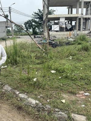 nhà cấp 4 trên thửa đất, đất rộng đẹp, ngõ rộng