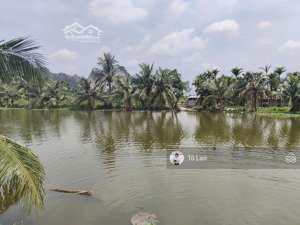 chào bán 210 m đất tặng kèm ngôi nhà cấp 4 vẫn còn rất đẹp- giá chỉ nhỉnh 1ty