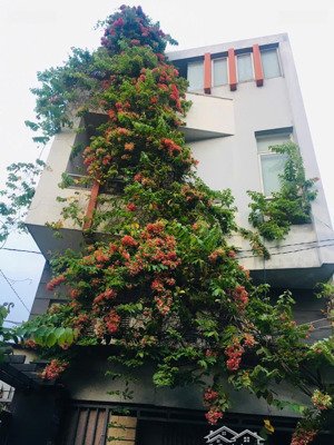 bán nhà hẻm 6m điện biên phủ, 5 x 15m, 4 tầng, mới cứng giá 11.8 tỷ bớt lộc