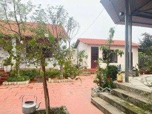 cần bán gấp siêu phẩm nhà vườn yên bài ba vì