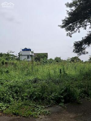 Bán đất đường D7 phường Trường Thạnh Quận 9 giá 12 tỷ