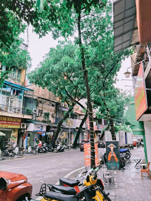 mặt phố trung tâm tây hồ dt 63 m2, 3 tầng, 6.2m mt 25,3 tỷ. lh: 