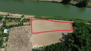 đất trồng cây hằng năm view sông, 1700m2 ngang rộng rãi 70m xã hòa nhơn.