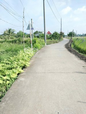 bán đất nền tại xã long hiệp, bến lức, long an, 1,9 tỷ, 191m2