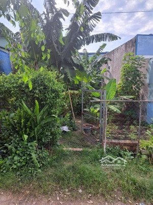 156m² giá chỉ 2.3 tỷ shr hẻm ôtô bình chuẩn 66