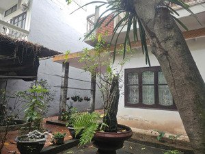 bán nhà riêng tại đại la, thanh lương, hai bà trưng, hà nội, 193m2