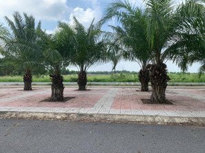 bán gấp đất nền 105m2 tại xã trừ văn thố, bàu bàng, bình dương, giá siêu hời 1,15 tỷ