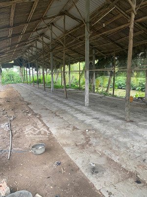 cho thuê kho, nhà xưởng, đất tại đường số 7, tân an, long an, giá cực chất 4 triệu, 400m2