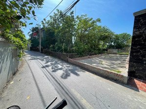 bán 53m2 trục chính thôn hội phụ-xã đông anh - tp hà nội! gần vin cổ loa & cầu tứ liên !