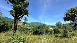 bán 3418m/200m thổ cư view đẹp tại phú cát, hà nội (phú mãn cũ)