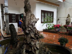 nr đẹp xuất sắc tại lạc trung, 24 tỷ, 193m2, 2 tầng, mặt tiền 10m