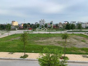 aurora harbour đô thị ven biển đáng sống bậc nhất