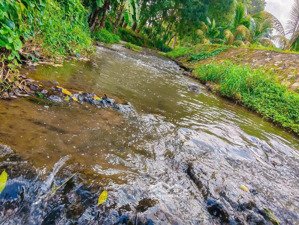 cần bán lô đất đẹp 5069 m2 sẵn 300 m2 thổ cư, có nhà, vườn cây, suối nước quanh năm, khu dân cư