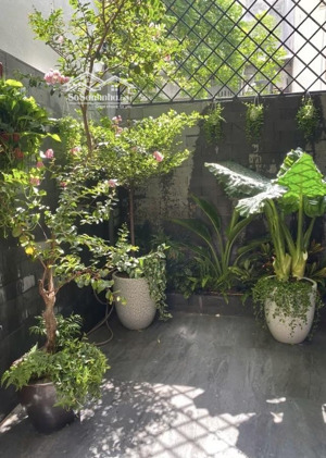 siêu phẩm ba đình - tây hồ - dân xây - ba gác tránh nhau - full nội thất - 42m2 giá có 9.75 tỷ