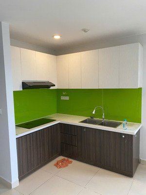 cho thuê căn hộ botanica premier , 2pn, 2wc ,có slot ôto ,nội thất , giá 17 triệu ,bao phí quản lý