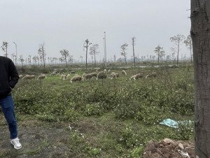 bán liền kề thanh hà giá rẻ nhất