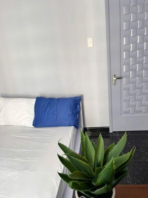 cho thuê nhiều cc sky garden 3 chỉ từ 11 triệu, 68m2, 2pn, 1wc, nhận tìm nhà theo nhu cầu