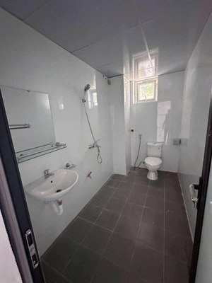 cho thuê nhà biệt thự liền kề lô góc 128m2