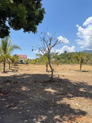 bán lô góc 3 mặt tiền xã diên lạc 6.398m² qh full thổ, mặt tiền 150m, cách nha trang 15km giá tốt