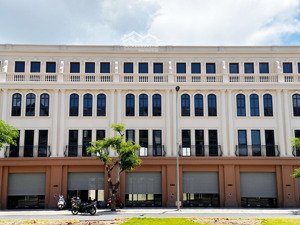 gia đình cần bán gấp shophouse giá siêu hời tại vinhomes royal island, 90m2, 11,x tỷ vnd