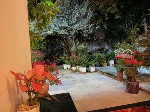 cần bán gấp căn biệt thự xinh đẹp 647m2 tại vĩnh hiệp, nha trang, khánh hòa