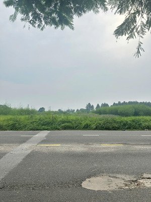 bán lô trục chính đường lý nam đế