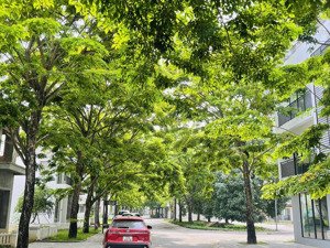 bán nhanh nhà phố spring valley - sổ đỏ - không vay - sẵn sàng giao dịch