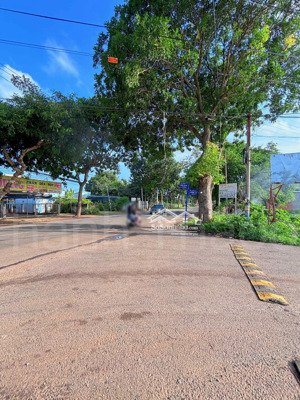 đất hòa long mặt tiền đường 15 shr giá đầu tư