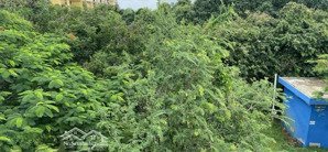 bán nhà đông thủ thiêm 23 tỷ 110 m2 lh sam