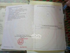 đất nền 109m2 tại xã phước lại, cần giuộc, long an