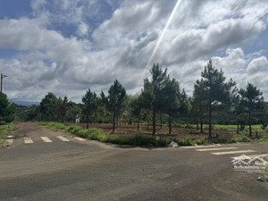 bán đất thổ cư lộc tân bảo lộc giá tốt