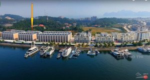 bán cắt lỗ lk tuần châu marina, khu g, âu cảng 2, bến du thuyền, kinh doanh sầm uất giá chỉ 4.8 tỷ