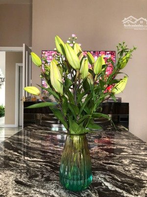 nhanh tay để sở hữu một căn nhà vila duy nhất đối diện công viên thiết kế hiện đại và sang trọng.