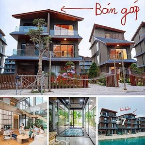 bán gấp biệt thự 4 tầng tại phân khu nhật