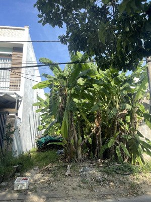 bán lô đất hoà thọ đông đường trừ văn thố- cẩm lệ