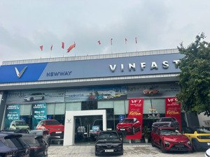 cho thuê cửa hàng mặt tiền khủng phố giảng võ - dt 220m2 - mt 20m - nhận diện thương hiệu