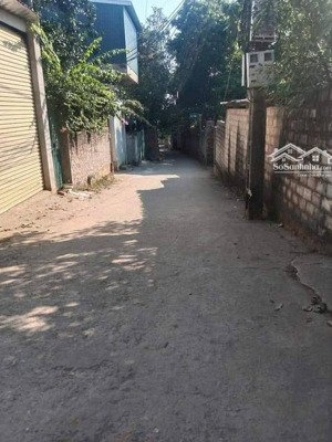 đất nền trong dãy liền kề đồi hoạ sỹ