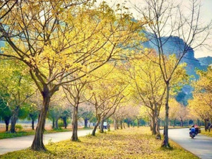 chủ cần bán nhanh căn hà bổng sát mặt tiền, sát biển mỹ khê.