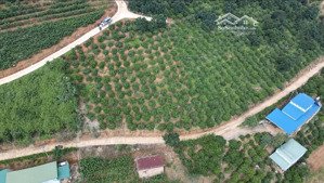 500m2 - 2 mặt tiền - cách chợ đêm đl chỉ 19 km view 360*