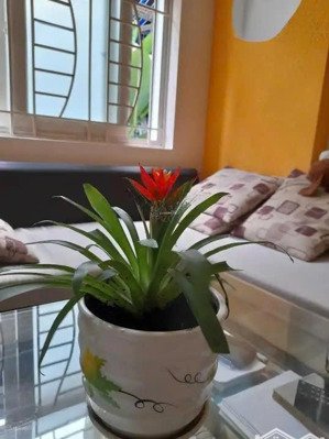 quý phái! ngang to 5mx12 - sd 206m2 - 5 tầng - ở ngay - góc 2 mặt thoánglê văn sỹ, pn chỉ 11 tỷ