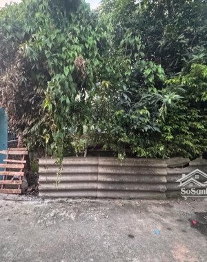 bán đất cực đẹp ngõ kẻ tạnh - phường việt hưng - cam kết giá tốt nhất thị trường.