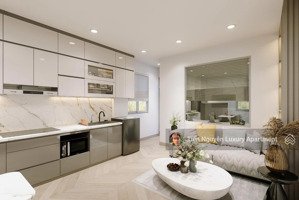 khai trương dự án mới dạng 1pn ngay công viên gia định - ngã tư phú nhuận - bệnh viện quân y 175