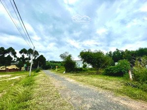 đất nền giữa 2 kcn diện tích khủng 5x51m, giá chỉ 1.8 tỷ!