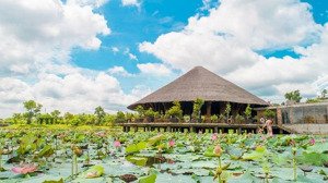 bán 4 nền khu a/b/c/f/h tại dự án kđt làng sen việt nam - vị trí đẹp - giá đầu tư và dễ dàng an cư